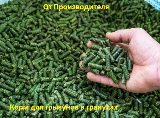 Люцерна изменчивая вега 87. Люцерна синегибридная. Линия производства травяной муки. Люцерна синегибридная сидерат. Производство люцерны.