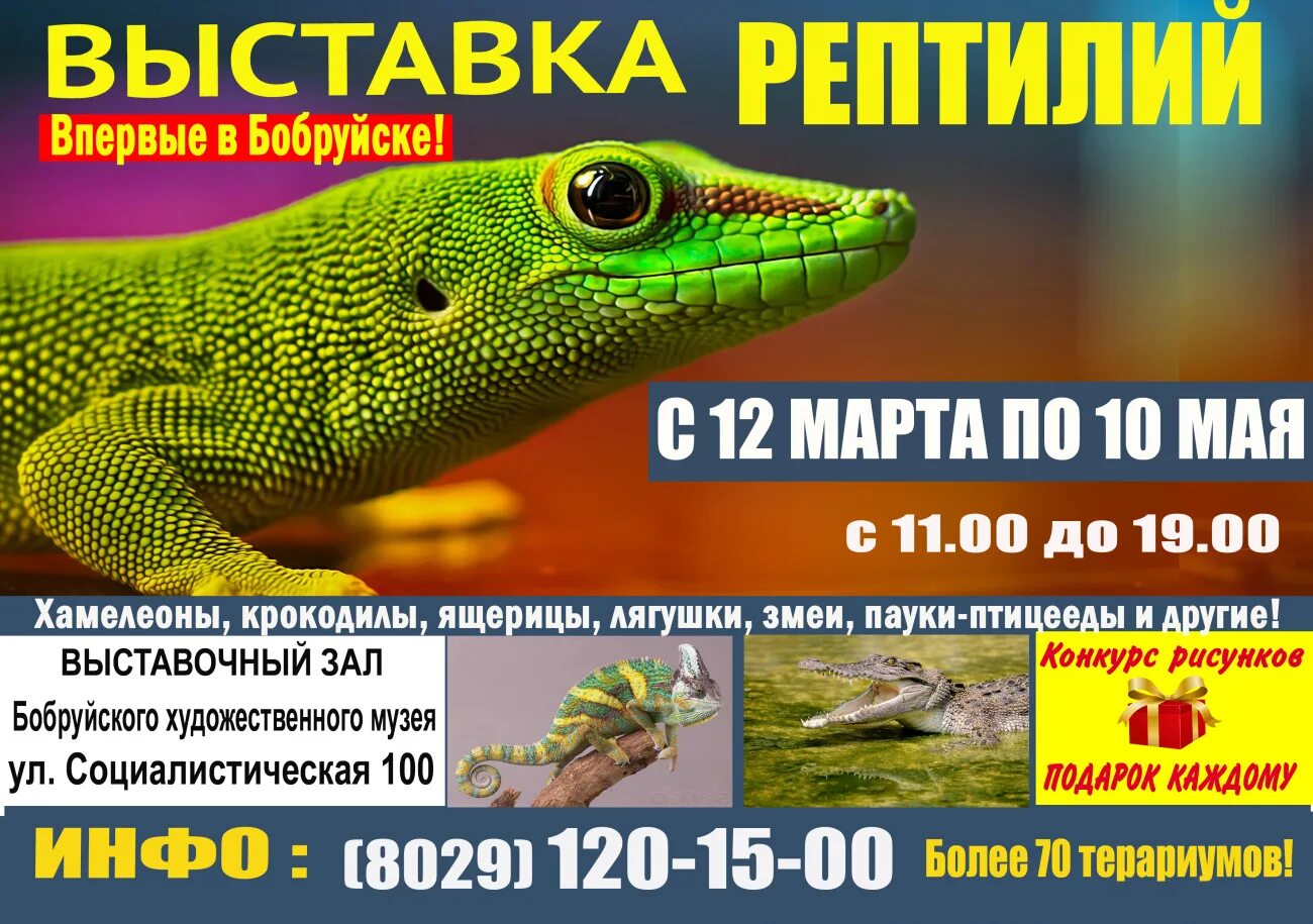 Выставка рептилий. Афиша выставка рептилий. Выставка рептилий в Москве. Билет на выставку рептилий. Выставка рептилий красноярск 2024 покровский