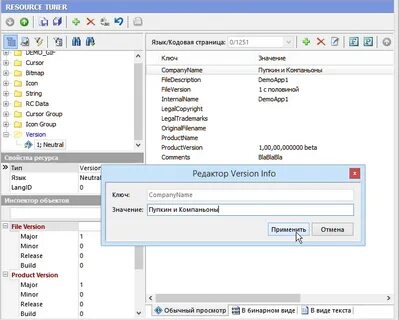 Version resource
