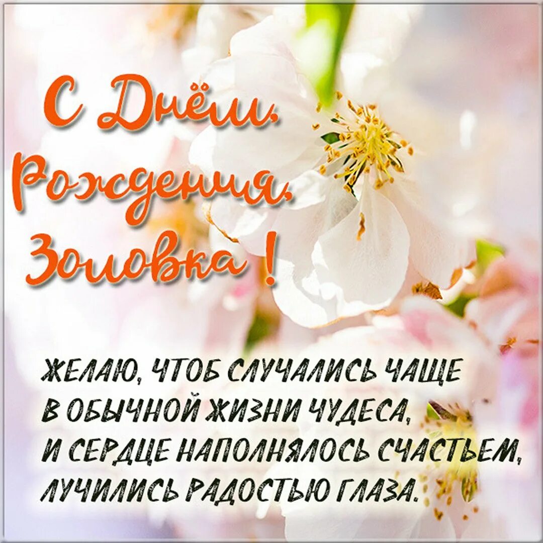 поздравления с днём рождения снохе от золовки. поздравления с днём рождения золовке. с днем рождения золовке красивые своими словами. поздравление с юбилеем снохе от золовки. с днем рождения золовке красивые своими словами.