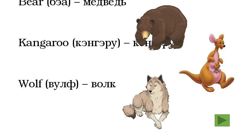 Произносим слово медведь. Медведь и кенгуру. Медвежий кенгуру. Заяц волк медведь. Медведь заяц волк Техно.