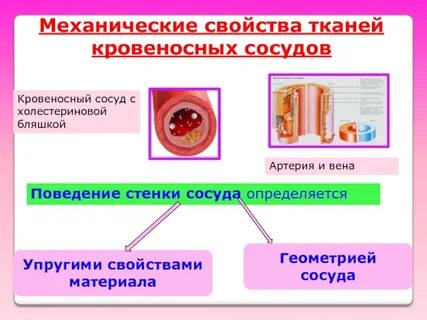Механические свойства тканей организма