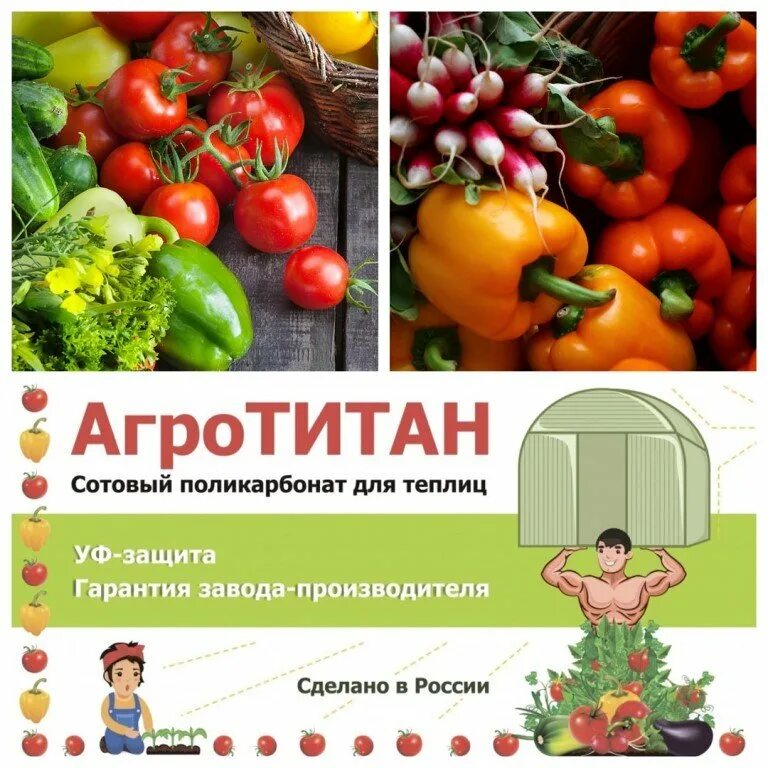 Sotalight поликарбонат. Поликарбонат sotalux. Поликарбонат сотовый агро-титан 4мм (б/цв). Сотовый поликарбонат 2100 6000 4 мм прозрачный. Поликарбонат сотовый woggel 6 мм.