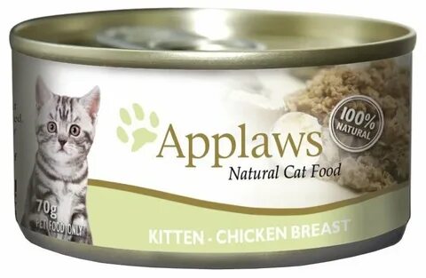 Kitten chicken