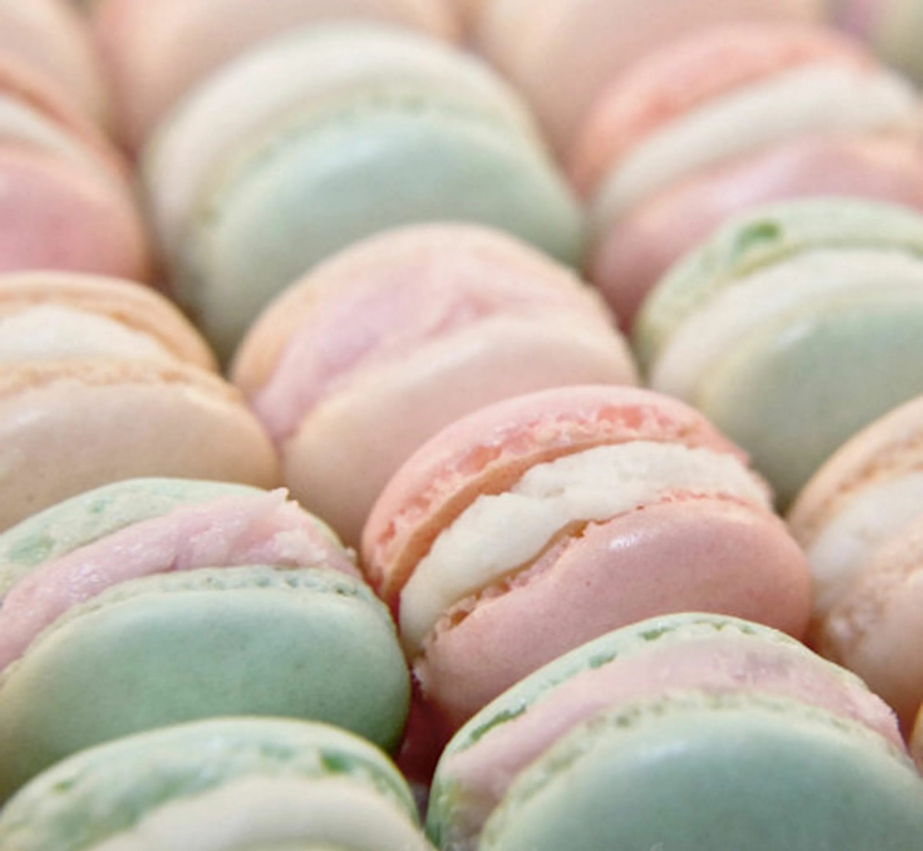 Macarons Enie backt, Macaron, Macarons selber machen