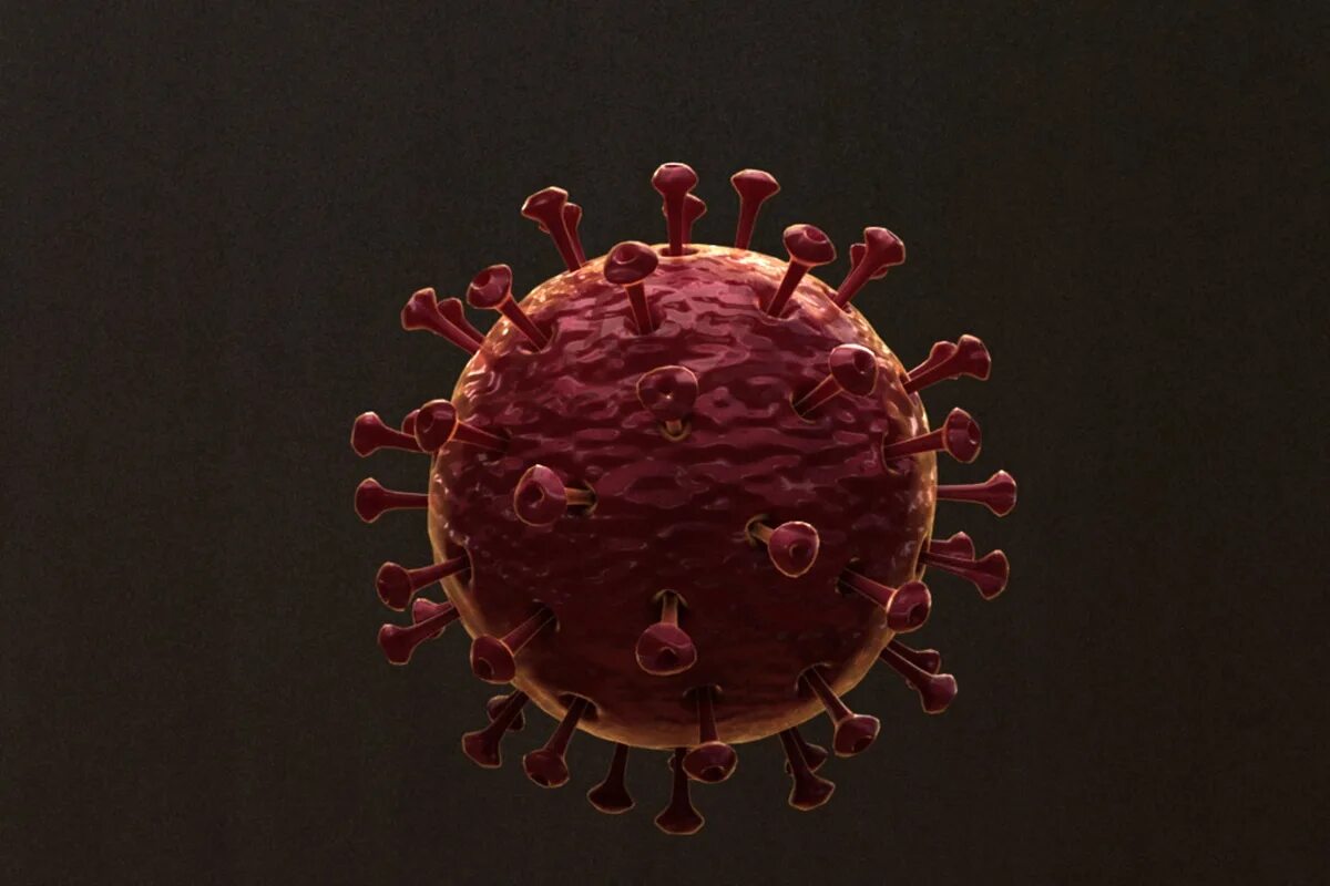 Вирус ВИЧ И коронавирус. 3д модель вируса СПИДА. Модель вируса иммунодефицита человека. Вирусы фото. Гепатит c и вич