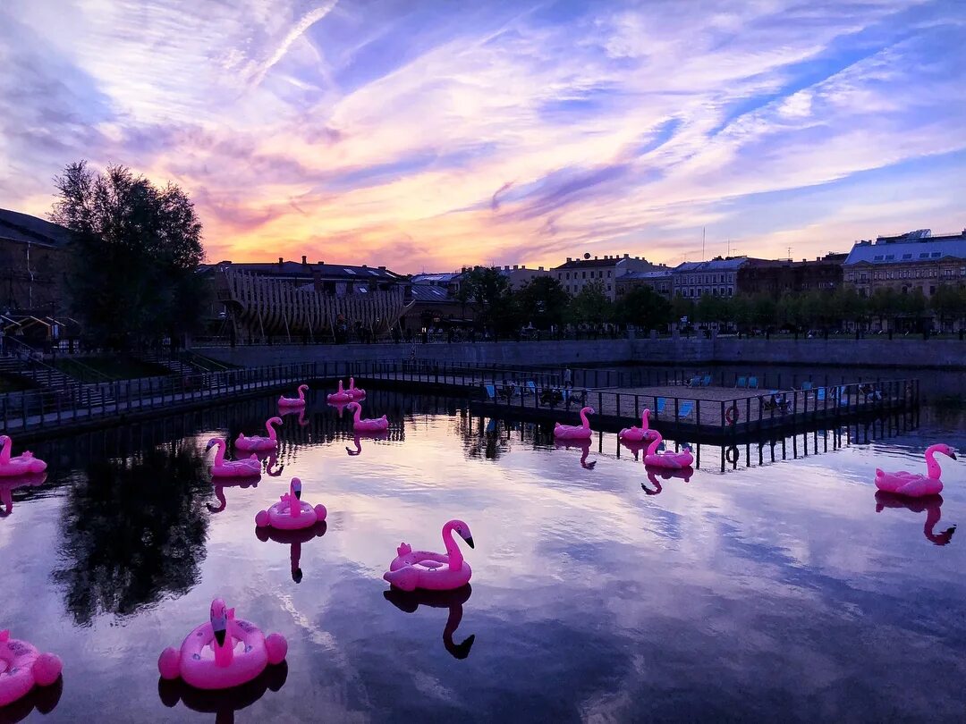 Веб фламинго набережная. Пруд на цпкио волгоград. Веб камера адлер отель фламинго набережная. Пляж чайка адлер веб камера. Пляж фламинго адлер.