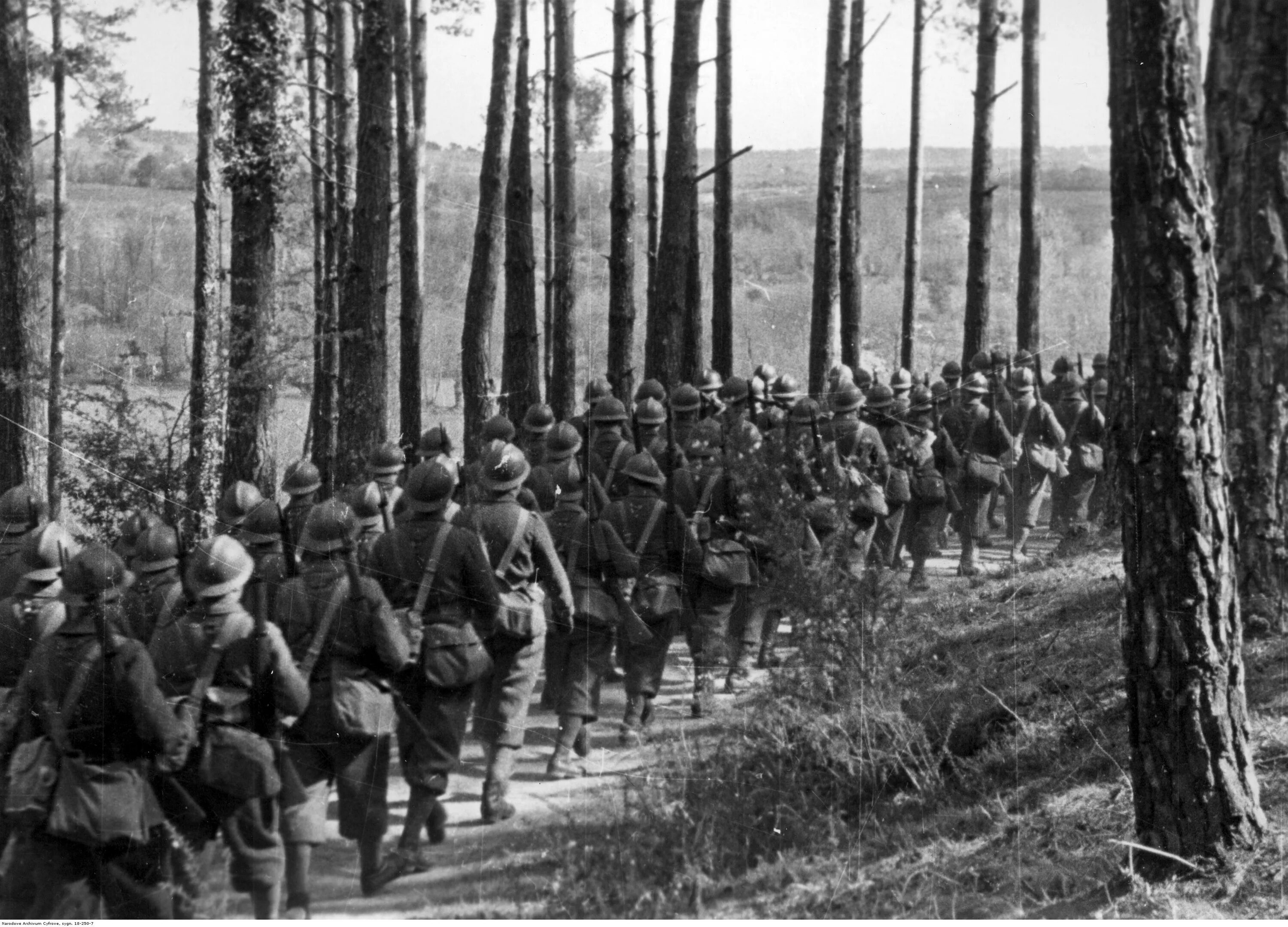 239 стрелковый полк в 1941 году. 372 стрелковая дивизия 1238 стрелковый полк. Сибирские дивизии 1941. Командир 78-й стрелковой дивизии полковник а. Генерал-полковник белобородов.