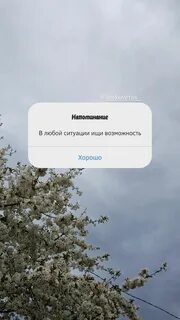 Напоминай каждый день