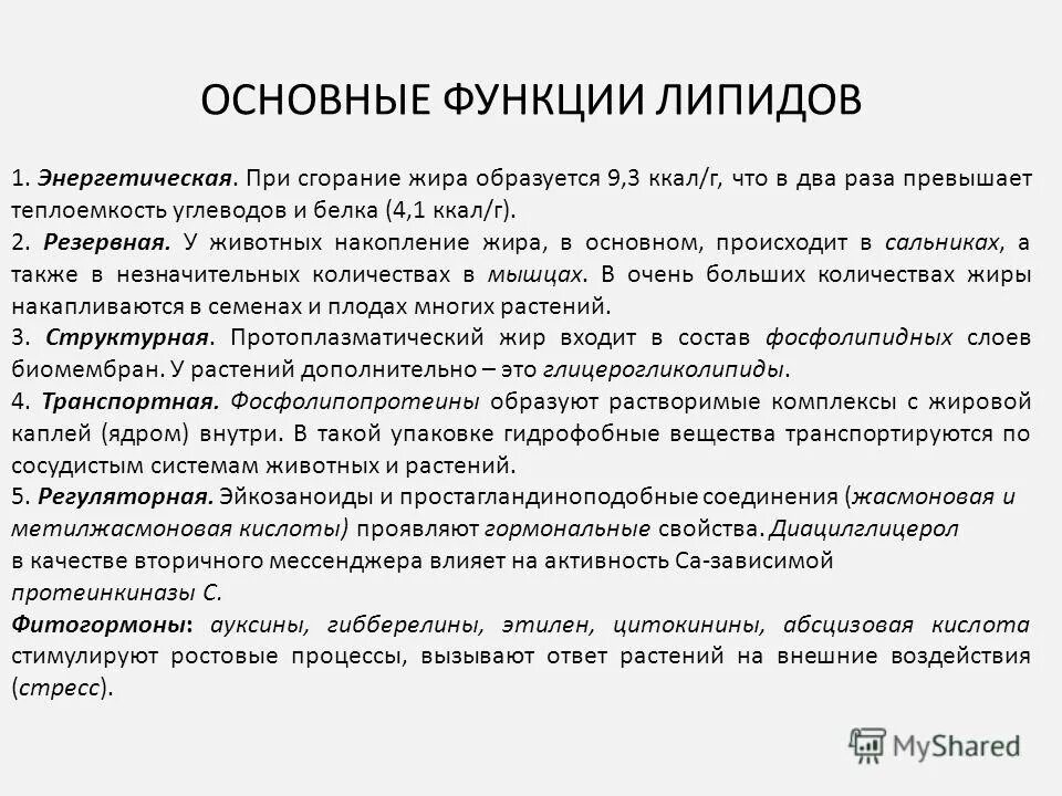 важная функция липидов. ферментативная функция липидов. роль липидов в клетке. основные функции липидов. важная функция липидов.