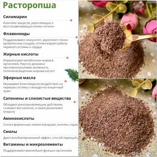 Рецепт расторопши для печени