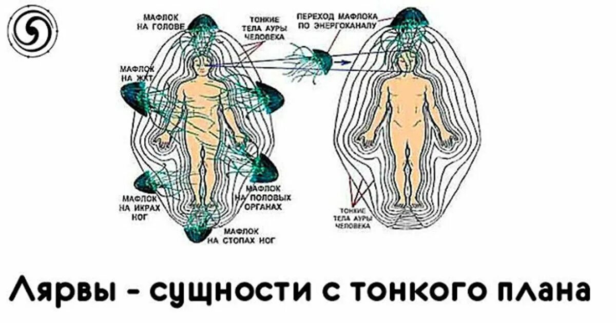 Сущности тонкого плана. Тонкий план человека. Лярва сущность с тонкого плана. Энергетические подселенцы. Проблемы сущности жизни