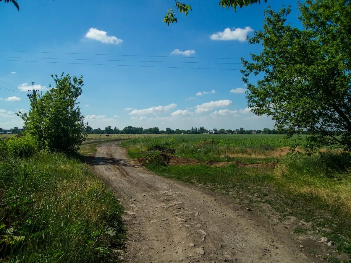 Чкаловский сельсовет. Село веселое Криворожский район. Александровский район Кировоградская обл. Кировоградская область природа. Надеждовка Криворожский район.