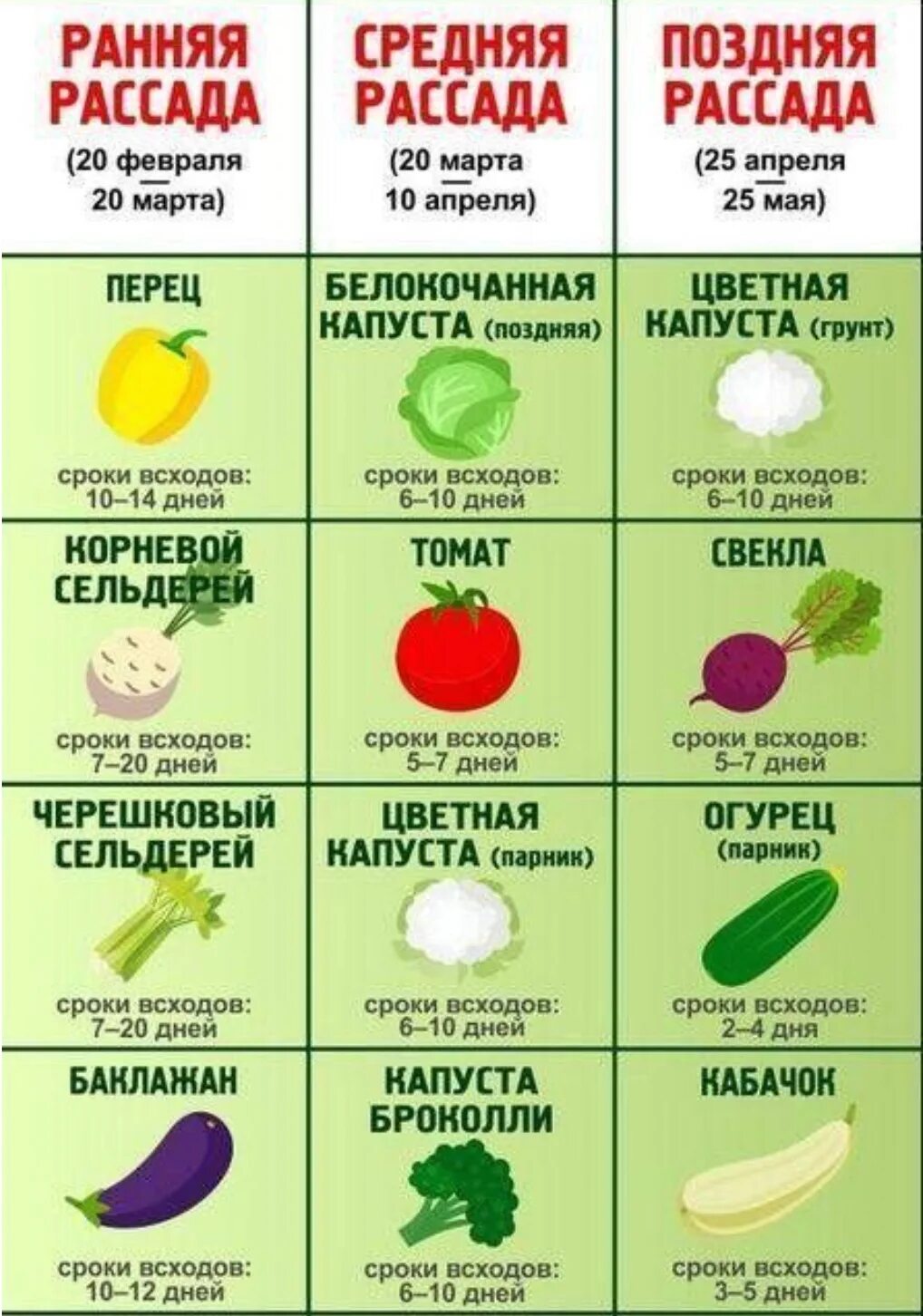 График высадки рассады в открытый грунт. Сроки посадки томатов на рассаду. Таблица посева овощей на рассаду. Сроки посева семян на рассаду. Таблица посева семян на рассаду и высадка в грунт.