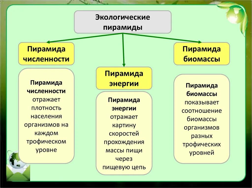 Экология сообществ называется. Экологические сообщества. Сообщество это в экологии. Типы экологических сообществ. Экологическое сообщество это в биологии.