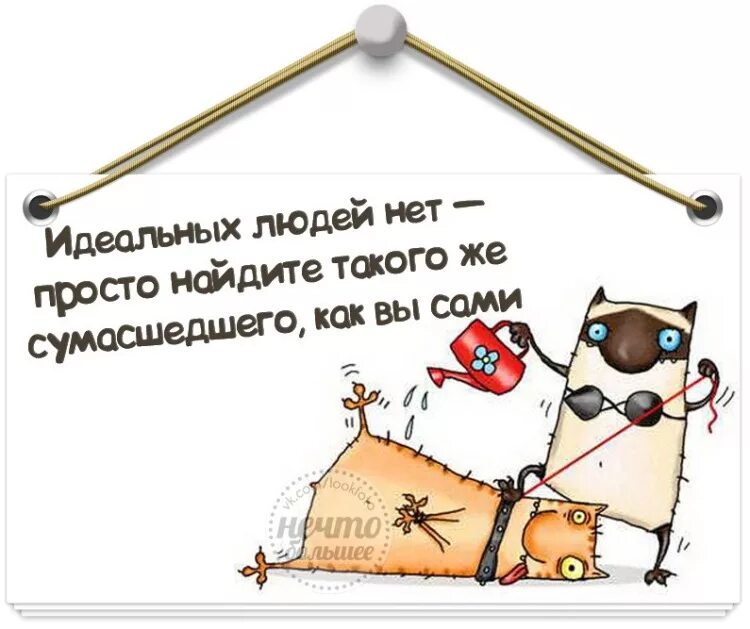Идеальных не бывает