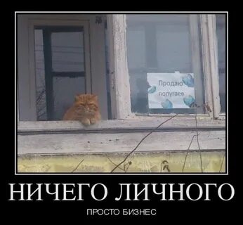 Ничего картинки смешные
