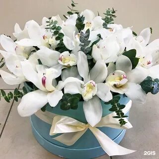 Цветы цветковы ярославль