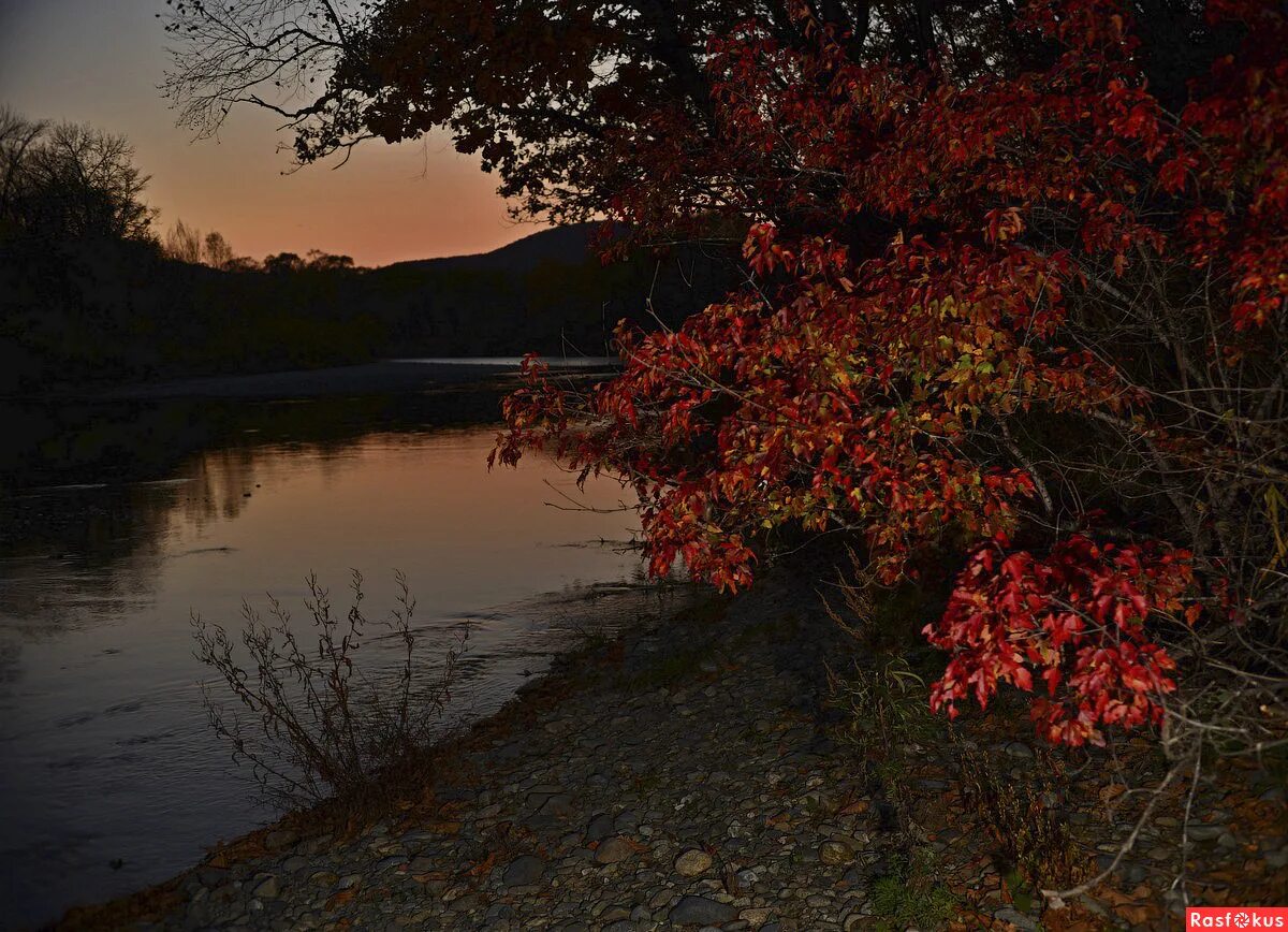 расфокус видео