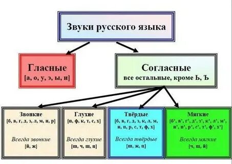 На какие 2 большие группы делятся звуки