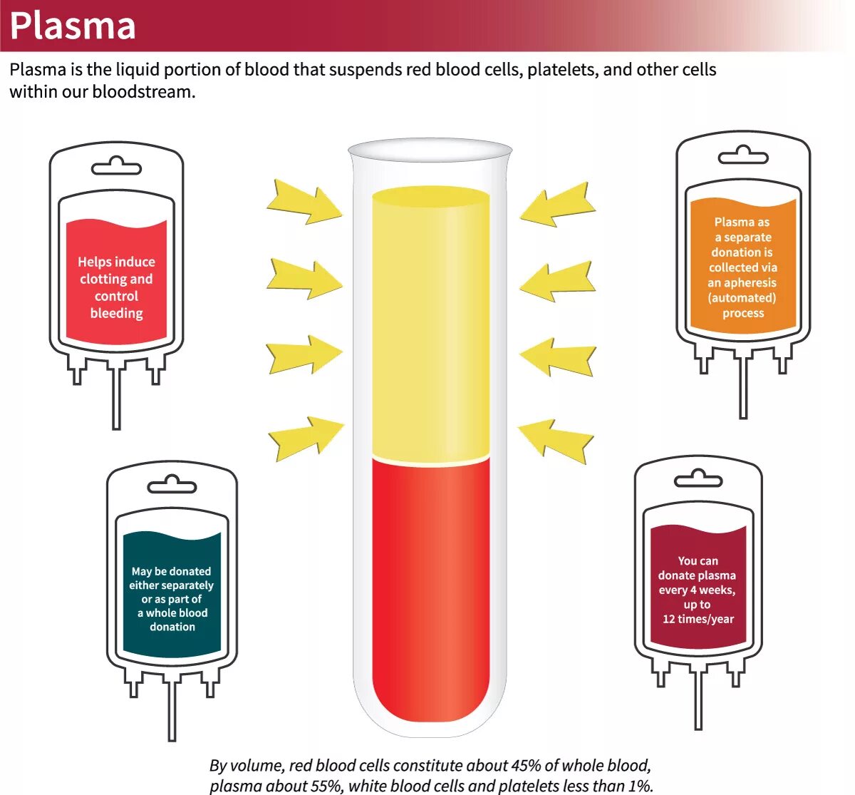 Оранжевая плазма крови. Plasma donation. Donate Plasma. Plasma is Blood. Т4 сыворотка крови