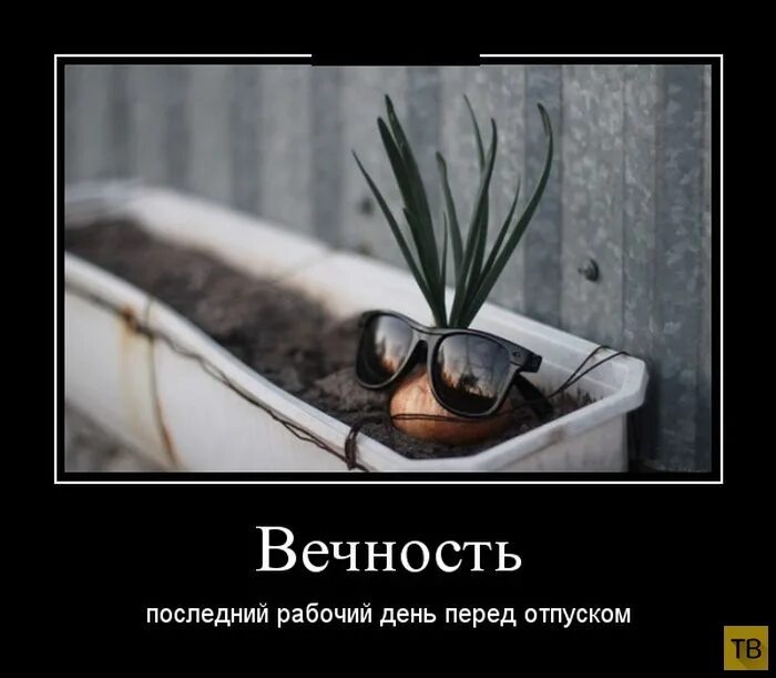 Про последнюю