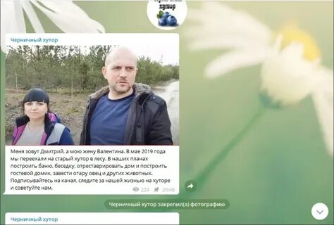 Черничный хутор на дзен последнее