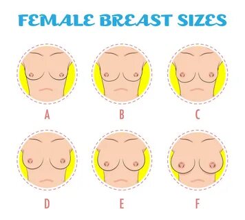 Download the Set of colored round icons of different female breast size, bo...