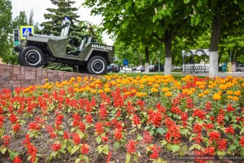 В цвете гомель