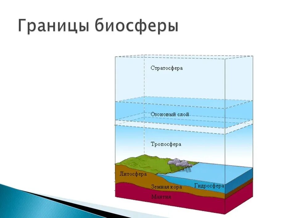 Литосфера гидросфера атмосфера земли. Строение земли атмосфера гидросфера литосфера. структура и границы биосферы схема. границы оболочки биосферы. границы биосферы атмосфера гидросфера литосфера.