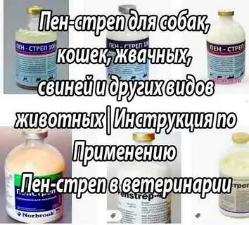 Пенстреп био инструкция