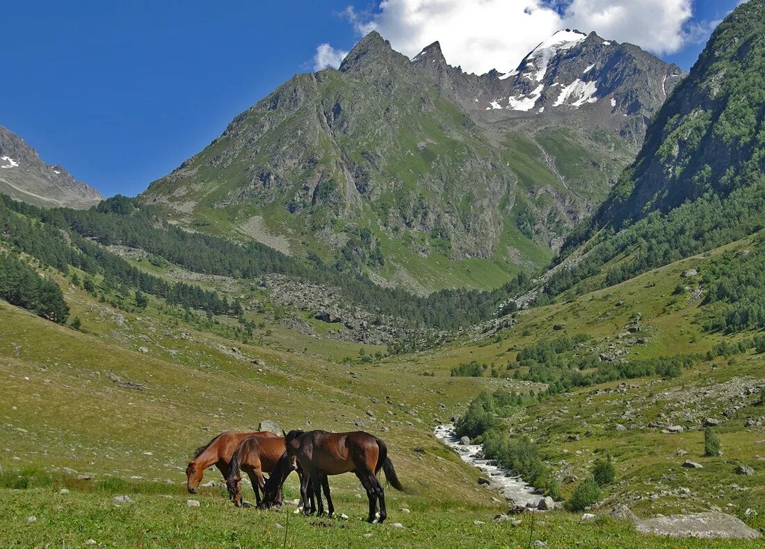 Далекий верх