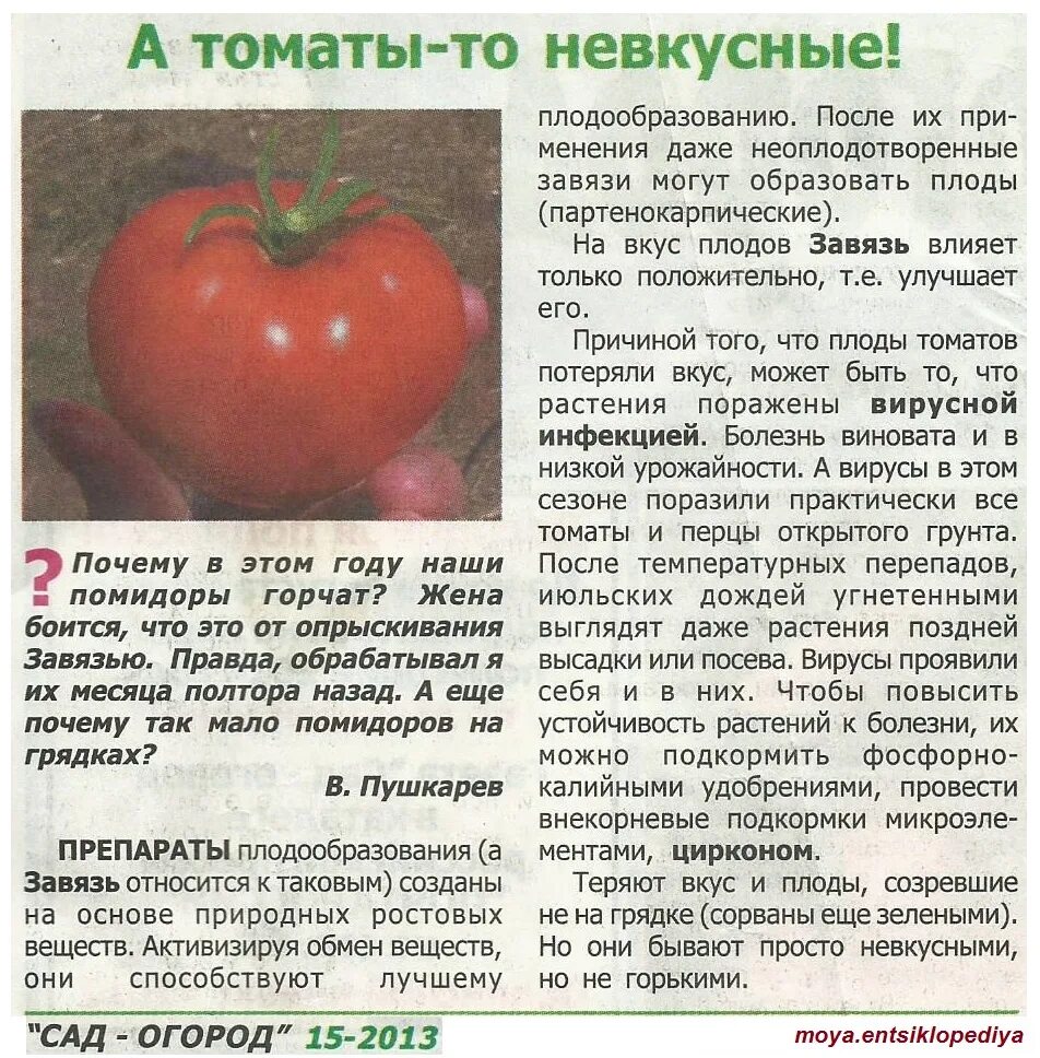 Почему мало томатов. Невкусные помидоры. Сорт томатов клубника. Сорта помидоров названия. Партенокарпические томаты.