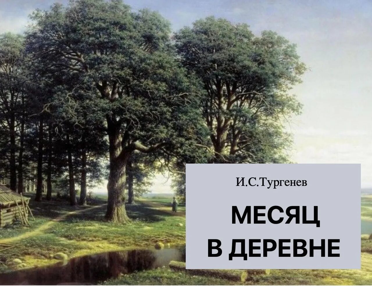 Рассказ тургенева деревня