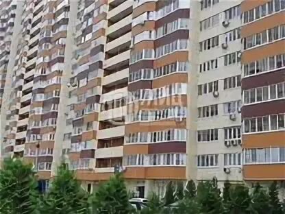 Носовихинское 27 реутов