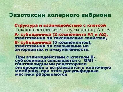 Положения справедливые