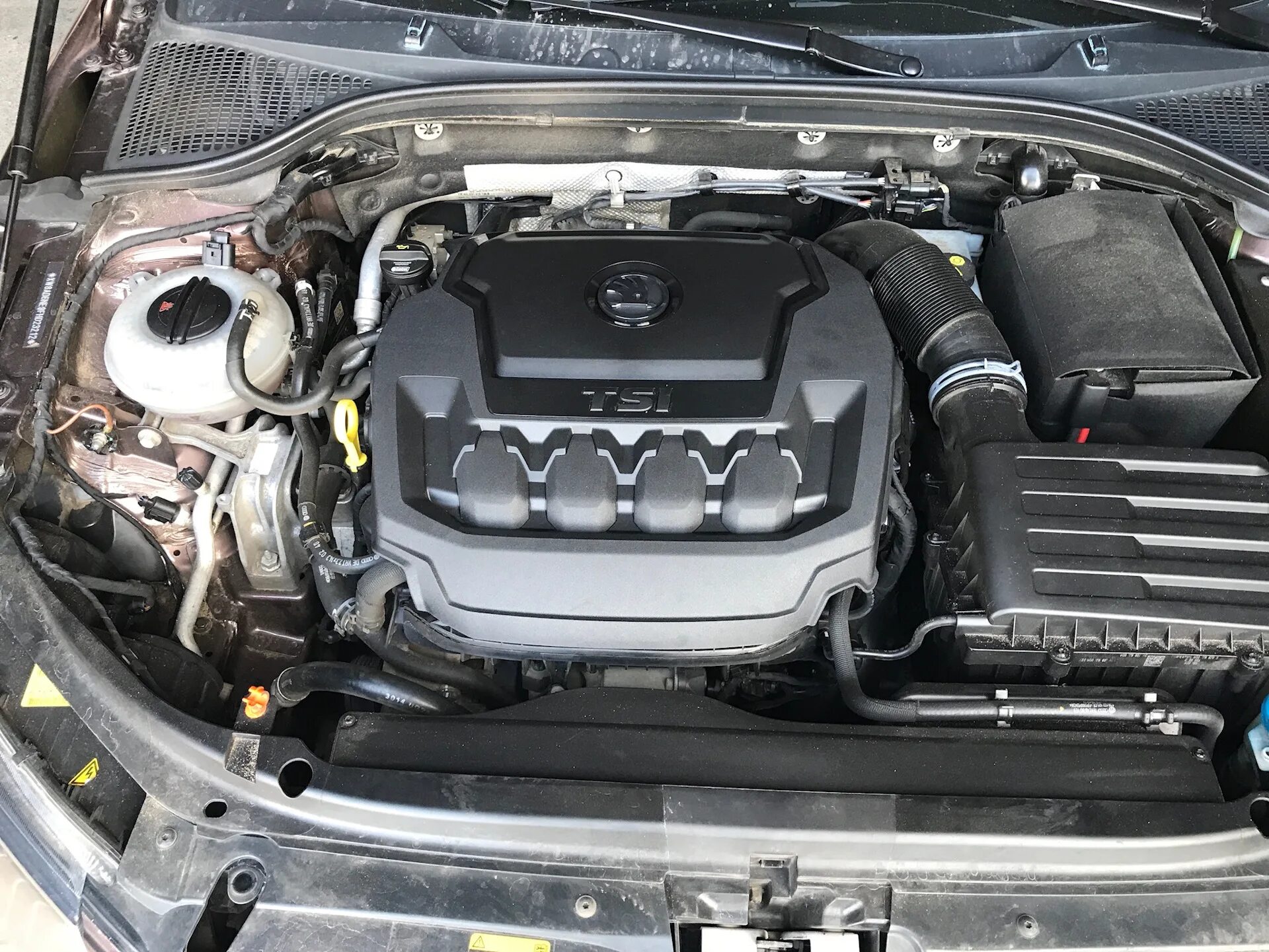 Skoda kodiaq двигатель