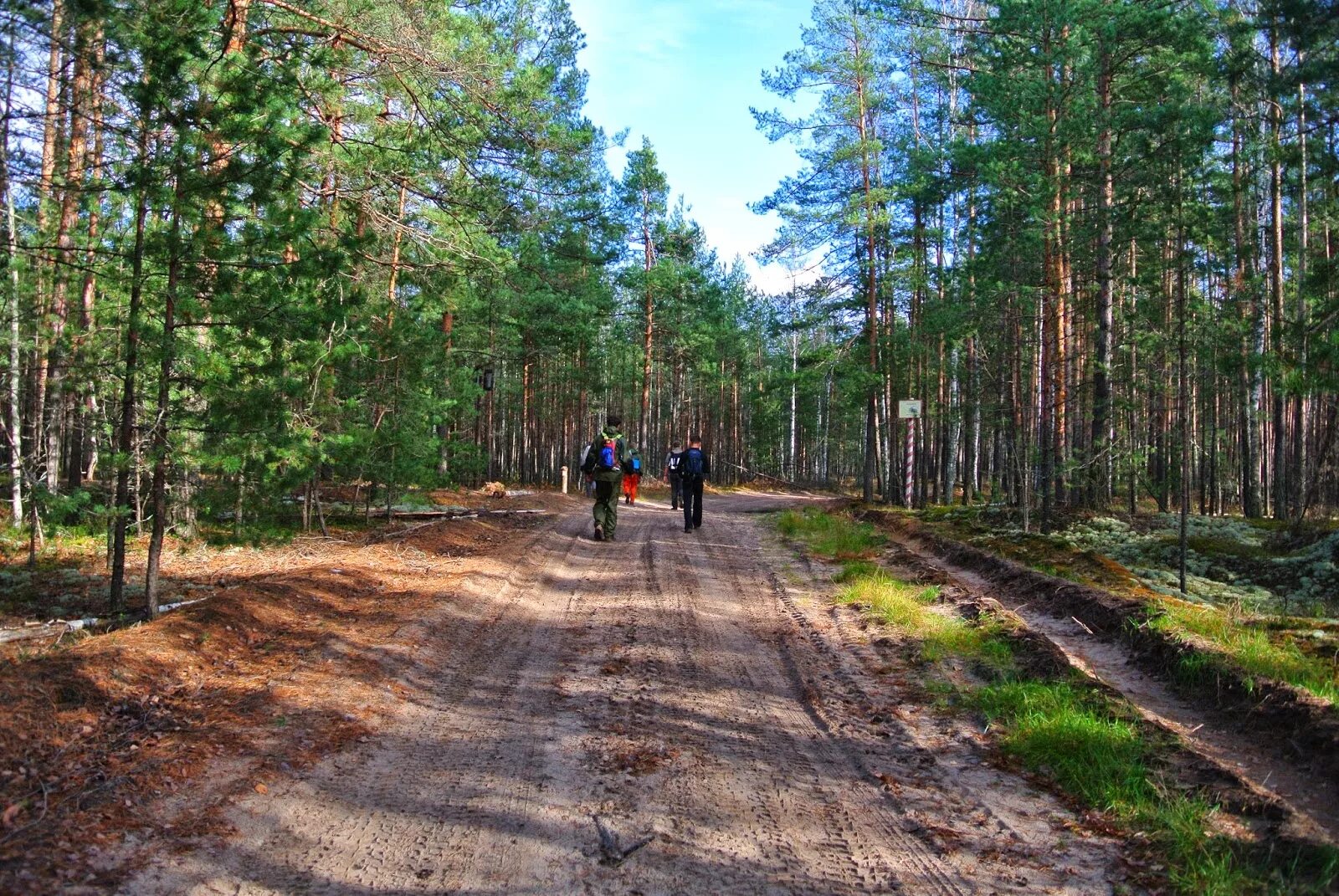 Мещера остаток лесного. Парк Мещера во Владимирской области. Национальный парк Мещера Уршель. Национальный парк Мещера Гусь-Хрустальный. Национальный парк Мещера экологическая тропа.