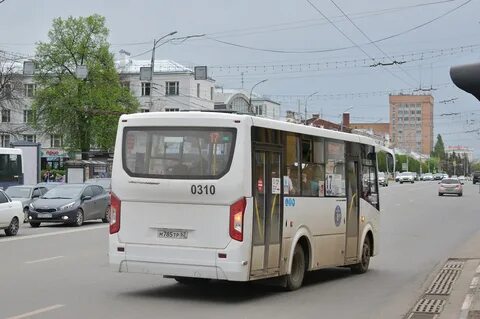 Автобус 310