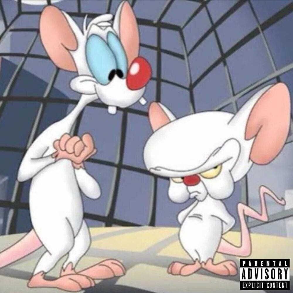 Брейн пинки и брейн. Мультсериалы пинки и брейн 1995-1998. Pinky and brain. Мыши пинки и брейн. Пинки и брейн.