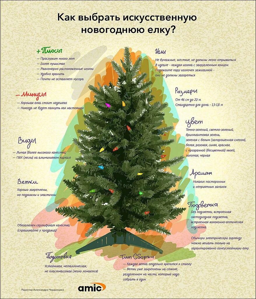 Какую елку поставили. Выбираем новогоднюю елку. выбрать елку инфографика. как выбрать елку. новогодняя елка инфогра.