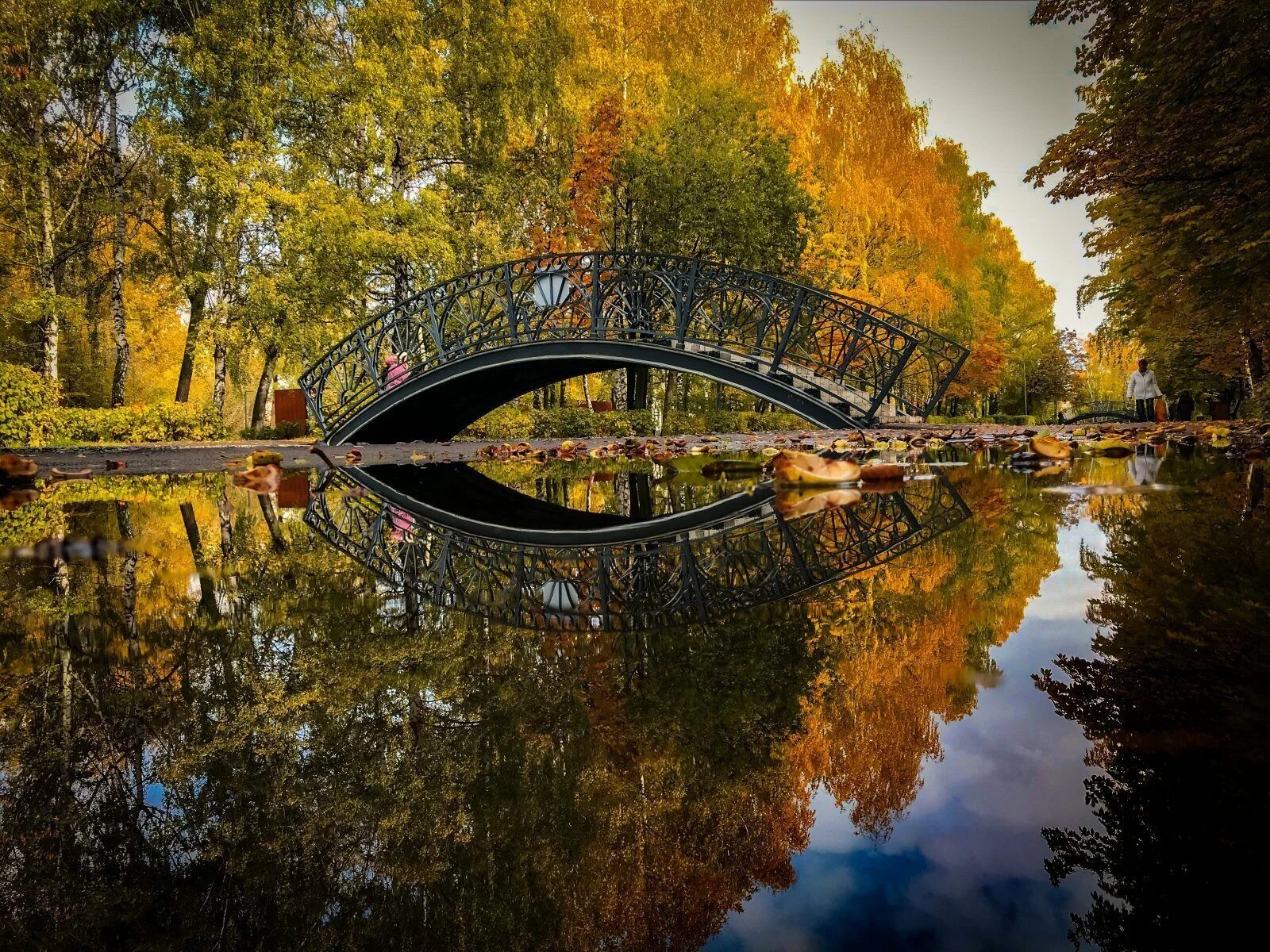Куда сходить в казани осенью. Парк имени урицкого казань. парк урицкого казань осенью. парк урицкого казань озеро. история парка урицкого казань.