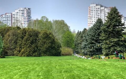 Кишинев ботаника