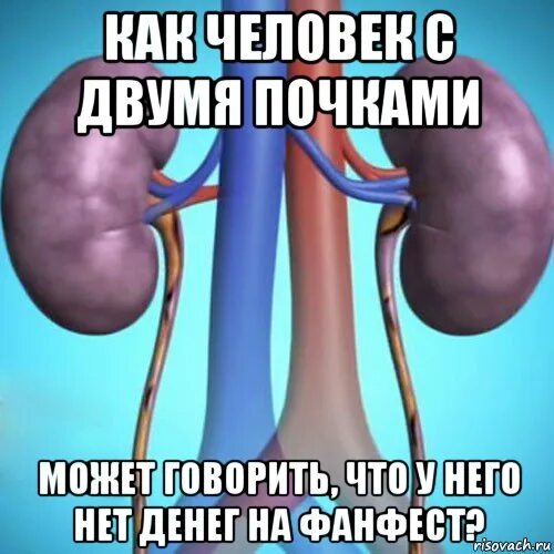 Нету почки