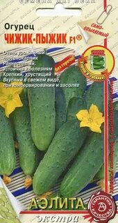Огурцы сорт чижик