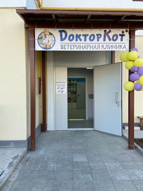Доктор кот бул всполье 31 фото Доктор кот бул всполье 31 фото