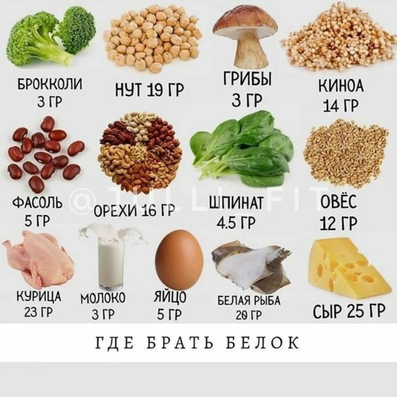 В каком мясе содержится белок. Продукты с высоким содержанием белка. где содержится белок в каких продуктах таблица. белок в растительных продуктах. продукты с большим содержанием белка.
