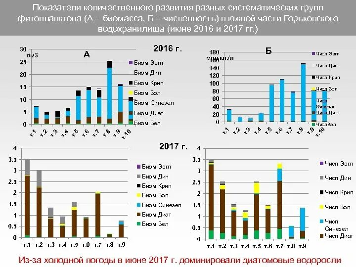 Биомасса фитопланктона в теплых морях больше. Исследование фитопланктона. Биомасса фитопланктона. Биомассы микроводорослей различных систематических групп. Методы вычисления биомассы фитопланктона.