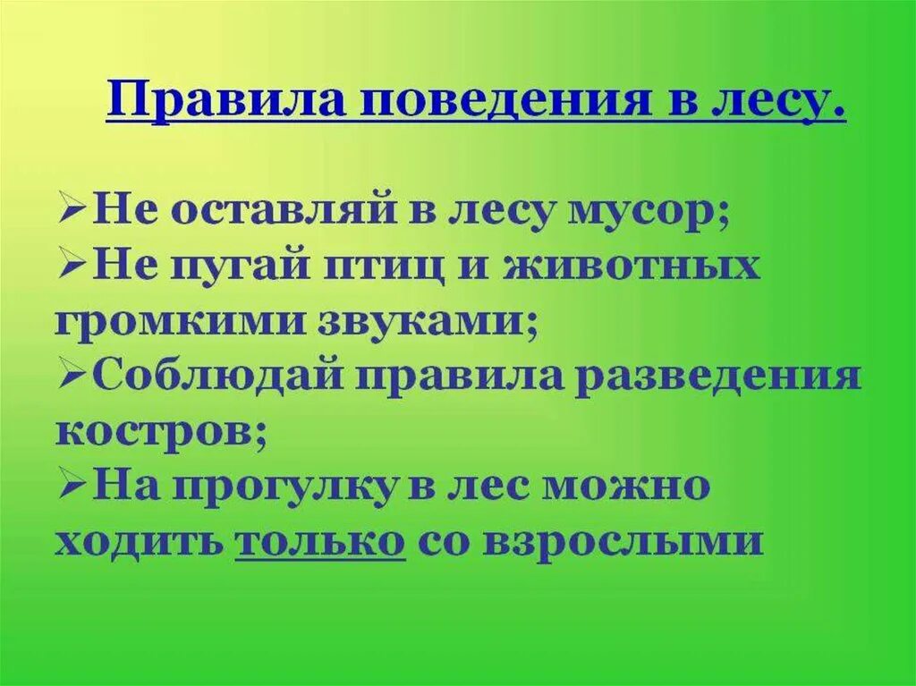 Составить памятку поведение в лесу. Правила поведения в лесу 2 класс окружающий. Правила поведения в Дему. Правда поведения в лесу. Правила поведения влес.