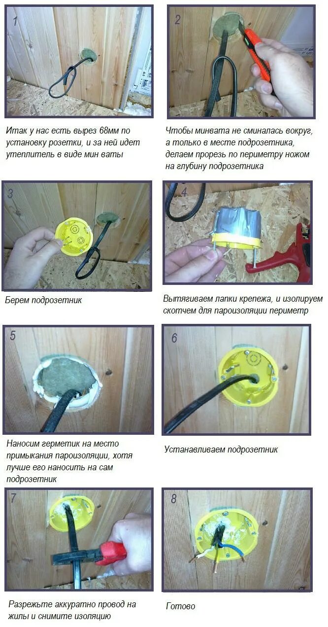 Зетник